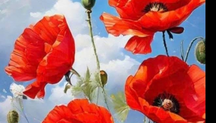 Gemerek’in Baharı: Kadınlarımız | Ömer TURAL Yazdı