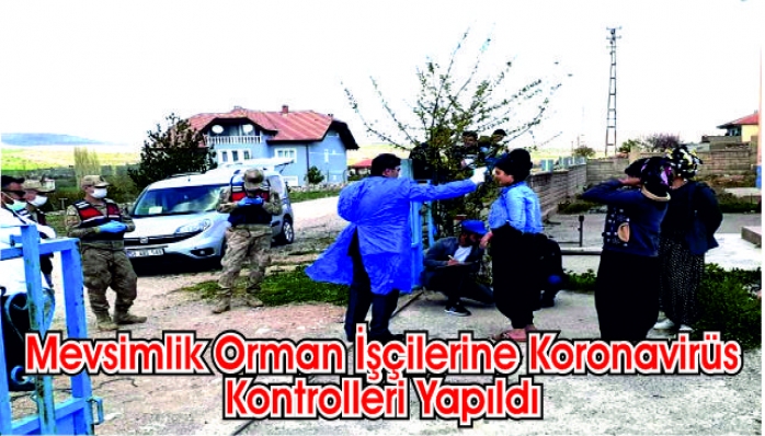 Mevsimlik Orman İşçilerine Koronavirüs Kontrolleri Yapıldı