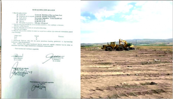 İlçemiz Hayvan Pazarına Kavuşuyor