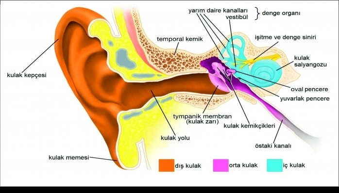 Görmezden Gelmeyin, Her Yaşta Risk Var!