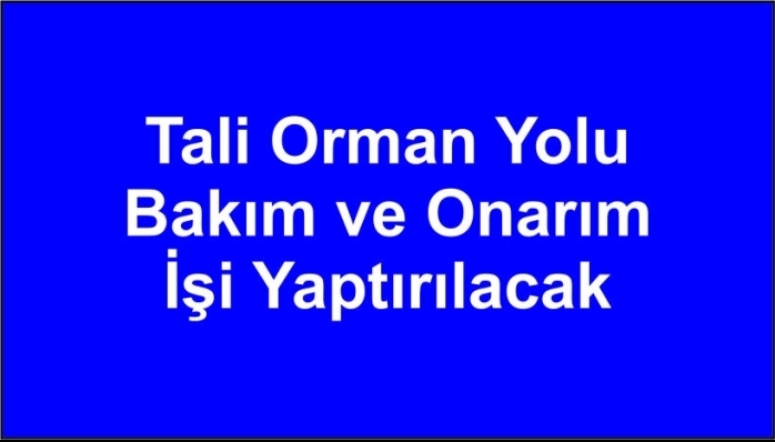Tali Orman Yolu Bakım ve Onarım İşi Yaptırılacak