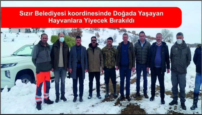 Sızır Belediyesi koordinesinde Doğada Yaşayan Hayvanlara Yiyecek Bırakıldı