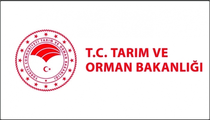 B Tipi Orman Yolu Yaptırılacak