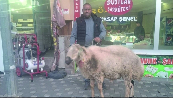 SAHİPSİZ KOÇ SAHİBİNE TESLİM EDİLDİ