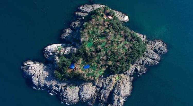 Giresun Adası için UNESCO Dünya Miras Geçici Listesi’ne başvuru